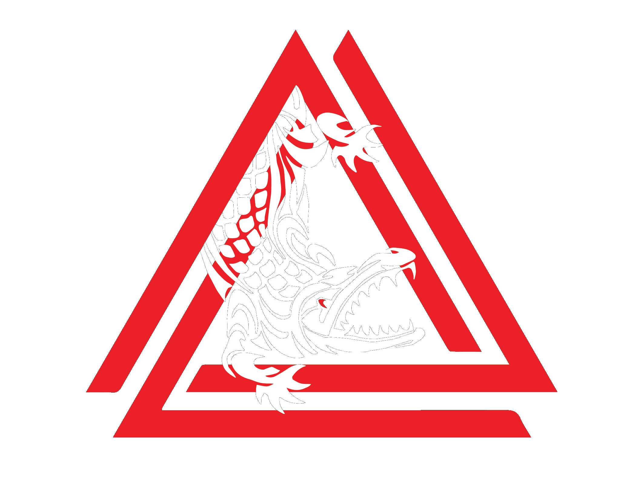 Filipino Combat Systems Logo